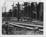 Temple_Inland_Public_Affairs_037
