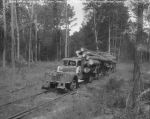 02_096b_Swamp_Buggy