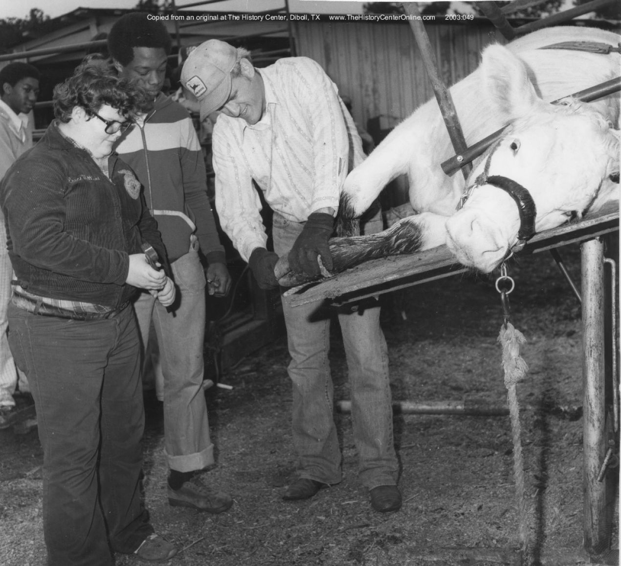 Teacher Jesse Bradford Steer Hoof