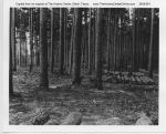 Temple_Inland_Public_Affairs_067