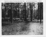 Temple_Inland_Public_Affairs_063