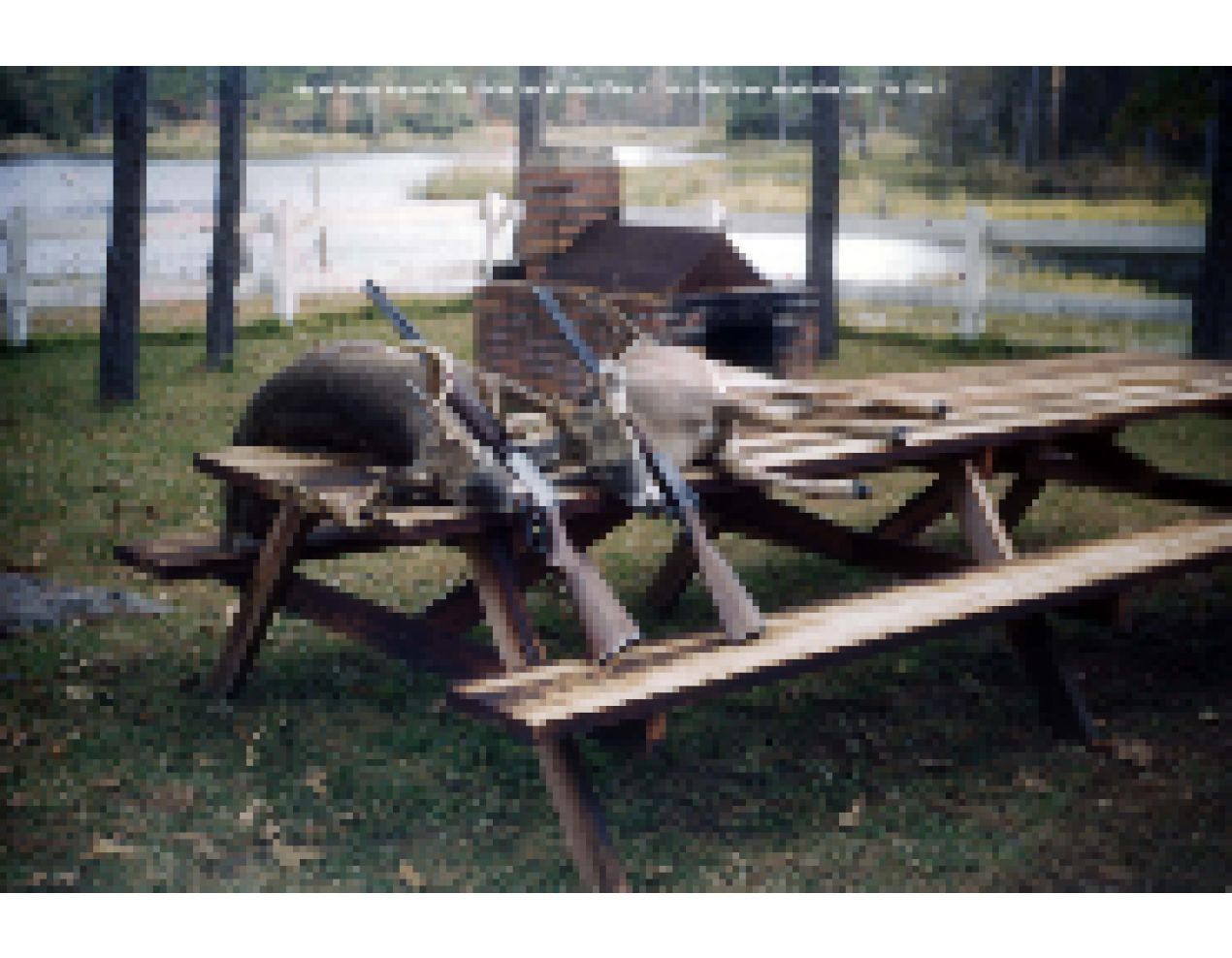 021 Deer kill