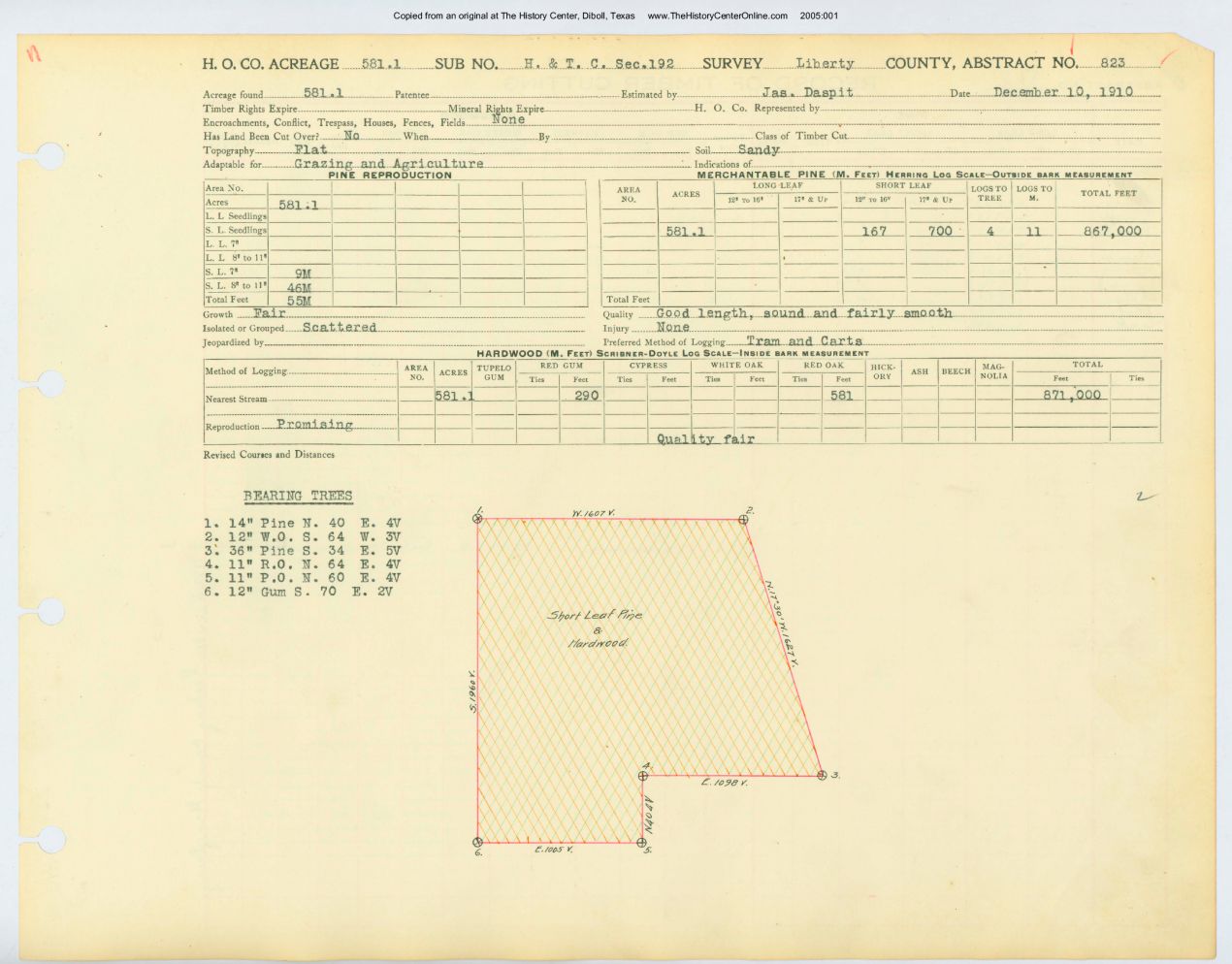 0017 Abstract 823, HTC Survey, front and back, Liberty County