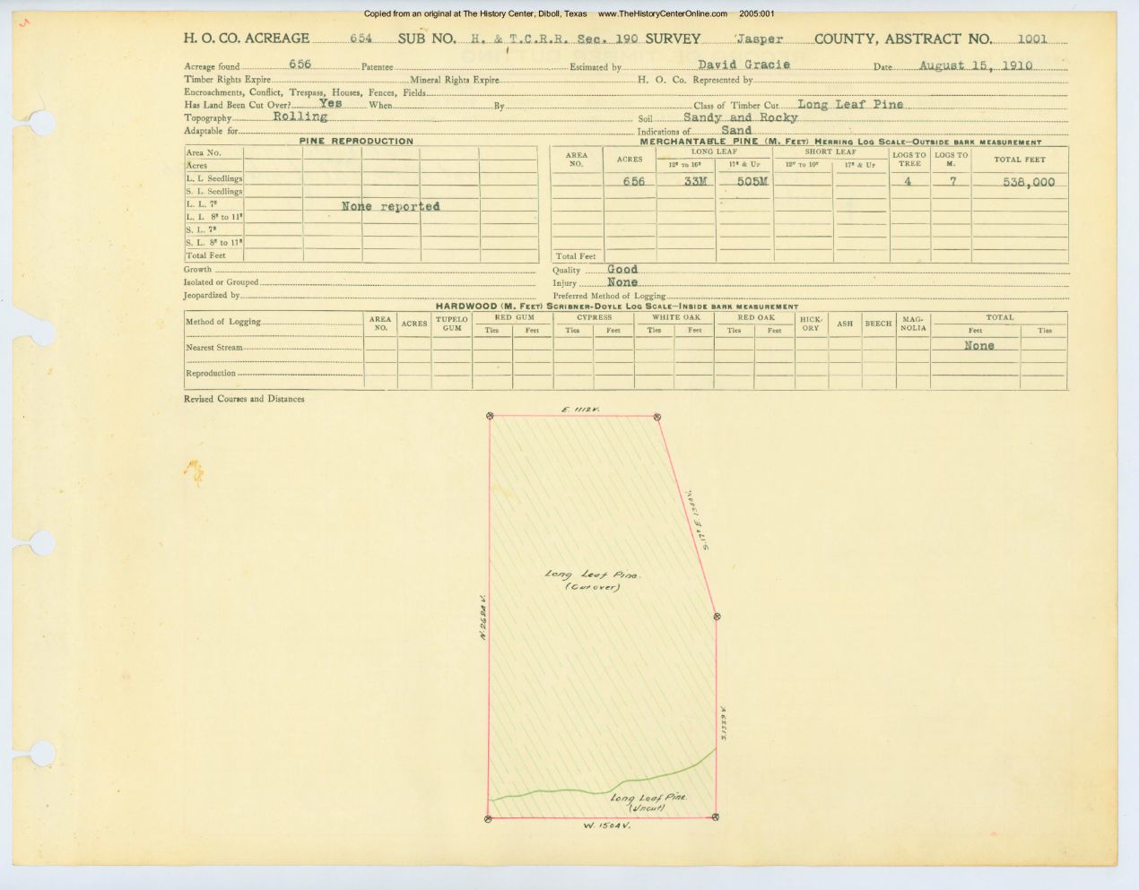 0437 Abstract 1001, H&amp;T.C.R.R. Survey, front and back, Jasper County