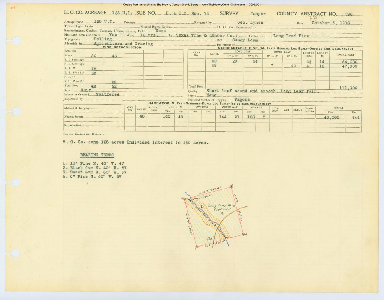 0318 Abstract 596, H&T.C.R.R. Survey, Jasper County