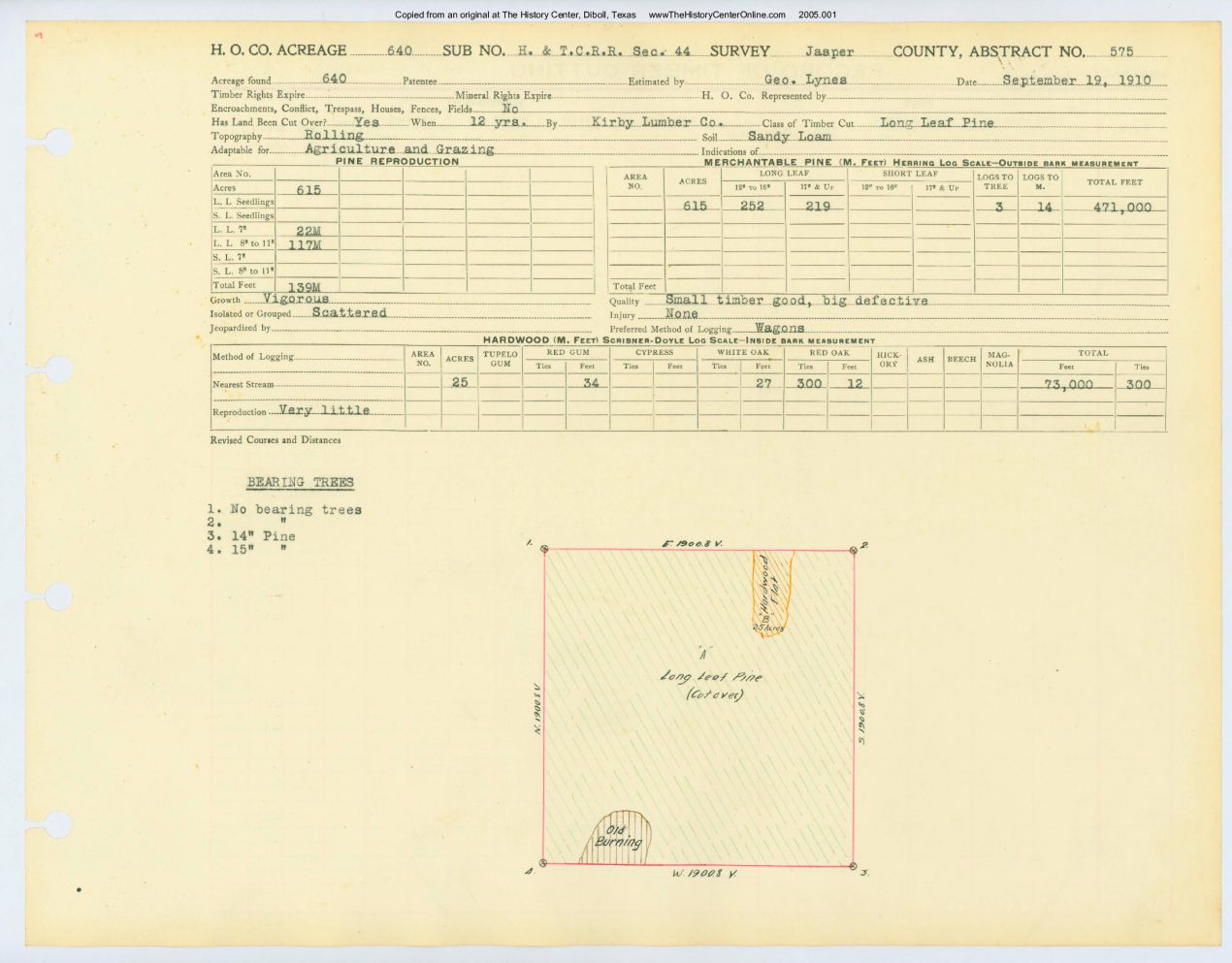 0301 Abstract 575, H&T.C.R.R Survey, Jasper County