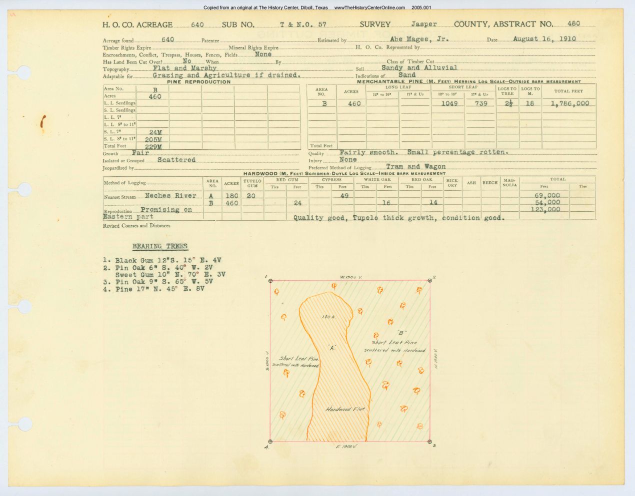 0263 Abstract 480, T.N.O.R.R. Survey, Jasper County