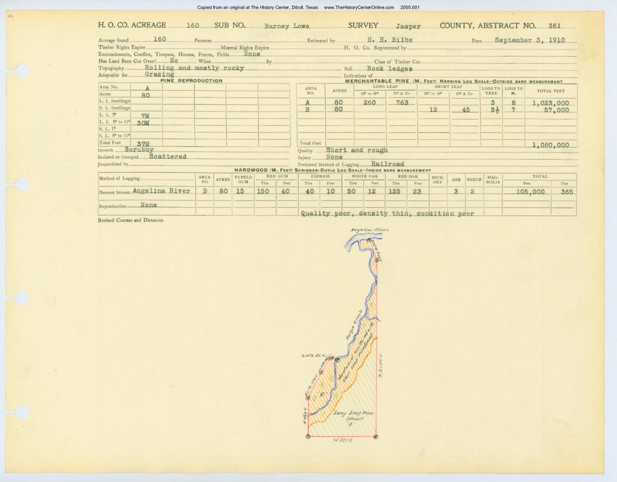 0217 Abstract 361, Lowe Survey, Jasper County