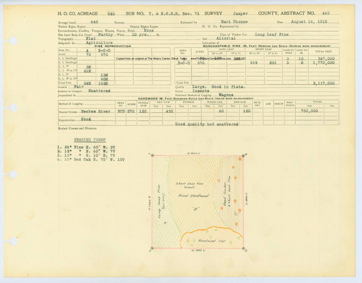 0249 Abstract 465, T.N.O.R.R. Survey, Jasper County