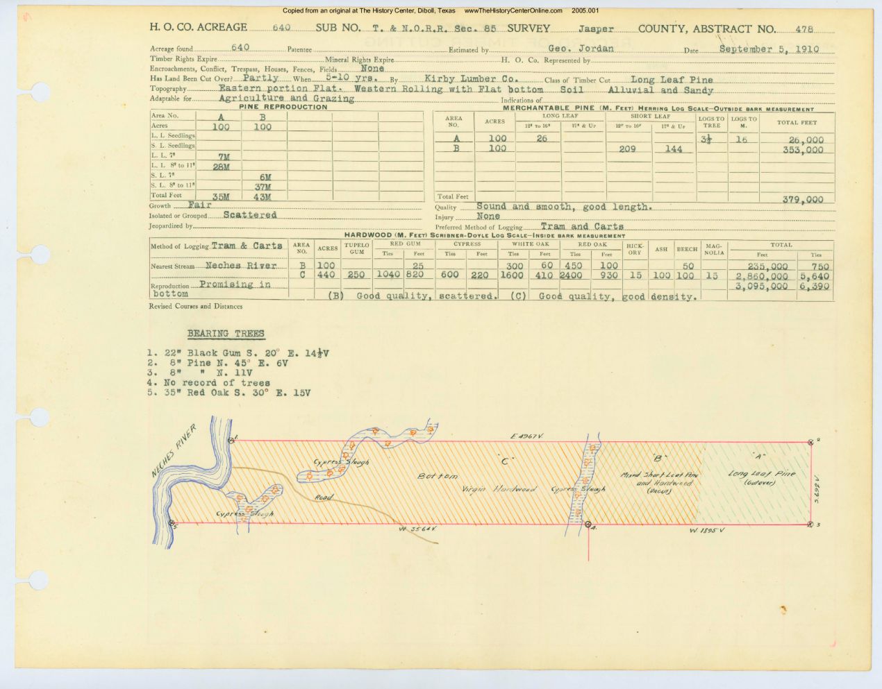 0261 Abstract 478, T.N.O.R.R. Survey, Jasper County