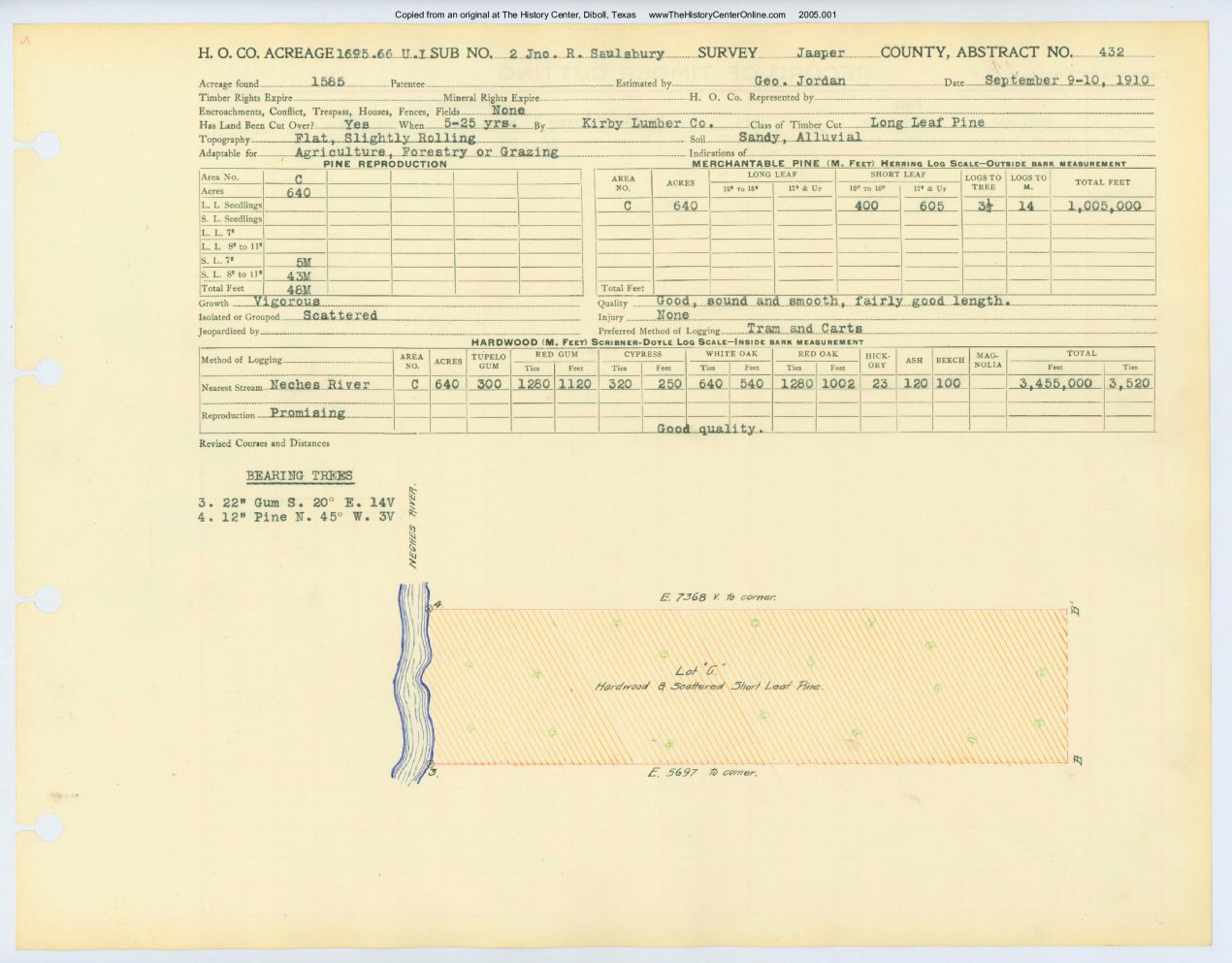 0242 Abstract 432, Saulsbury 2 Survey, Jasper County