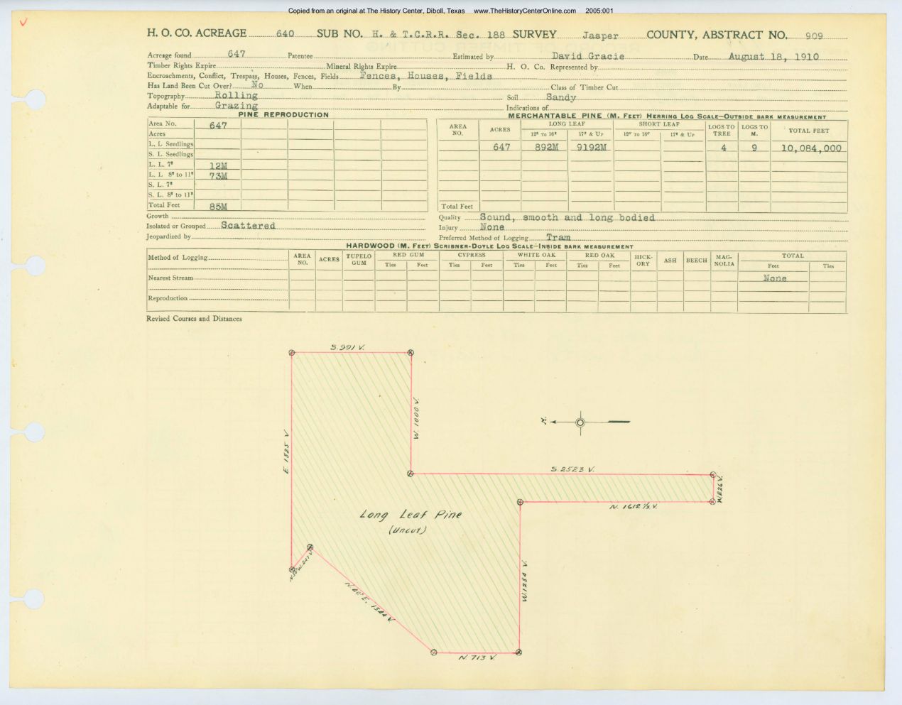 0402 Abstract 909, H&T.C.R.R. Survey, front and back, Jasper County