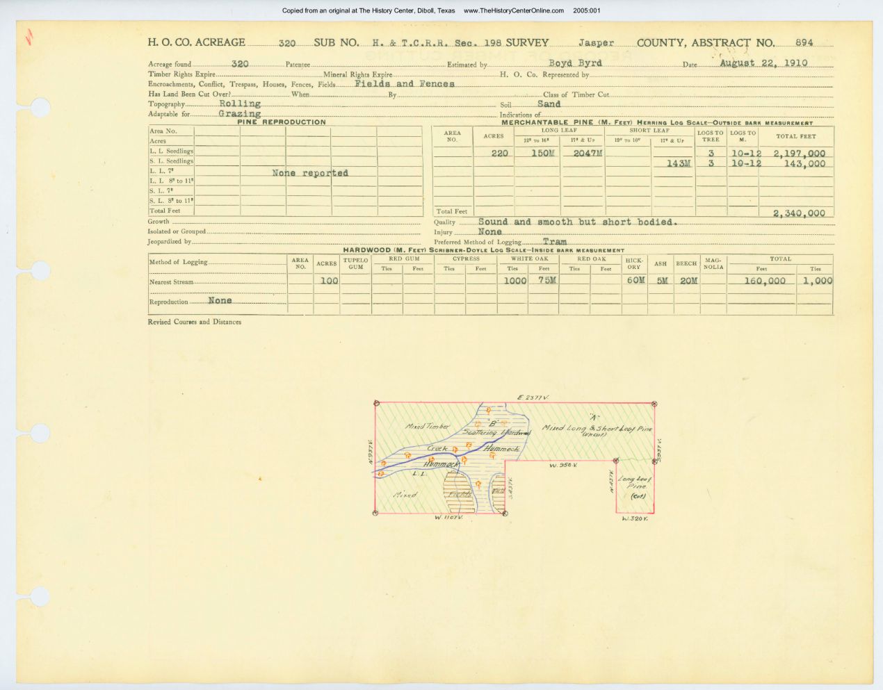 0387 Abstract 894, H&T.C.R.R. Survey, front and back, Jasper County