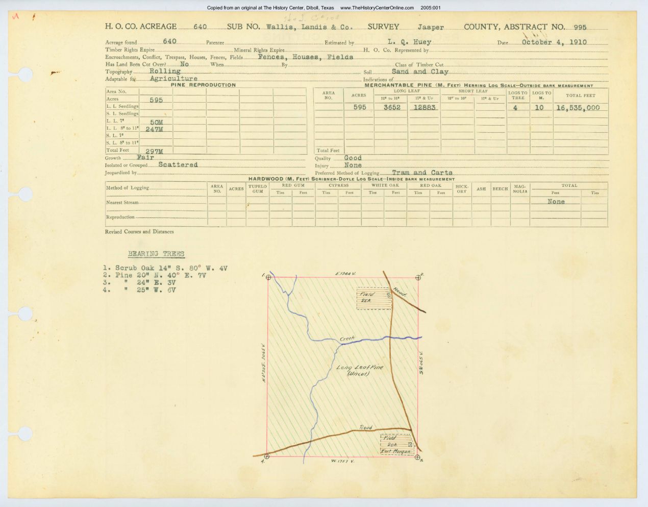 0433 Abstract 995, Wallis Landis &amp; Co. Survey, front and back, Jasper County