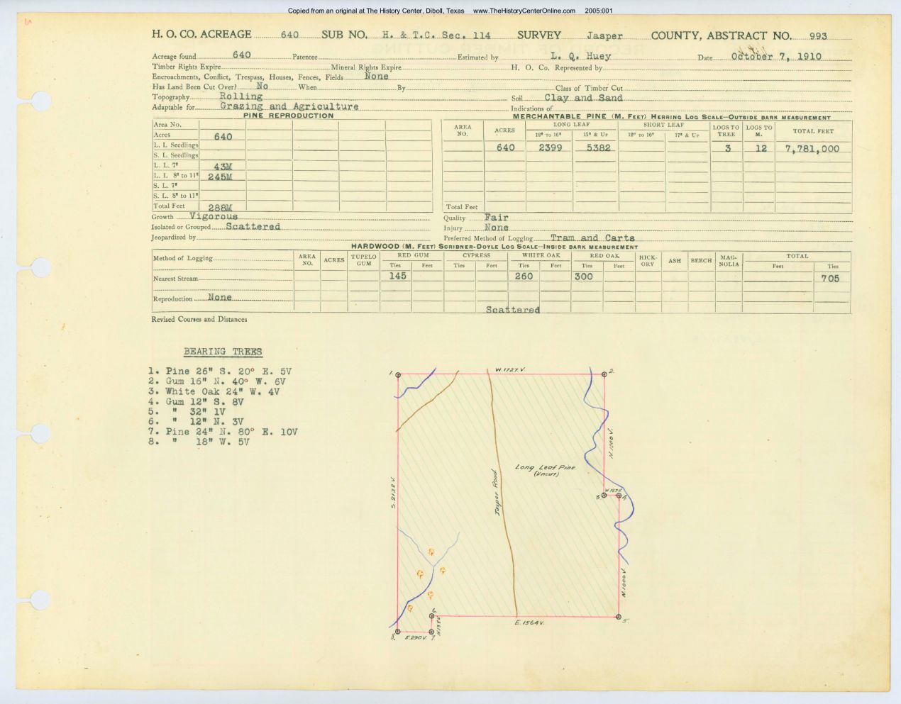0431 Abstract 993, H&amp;T.C.R.R. Survey, front and back, Jasper County
