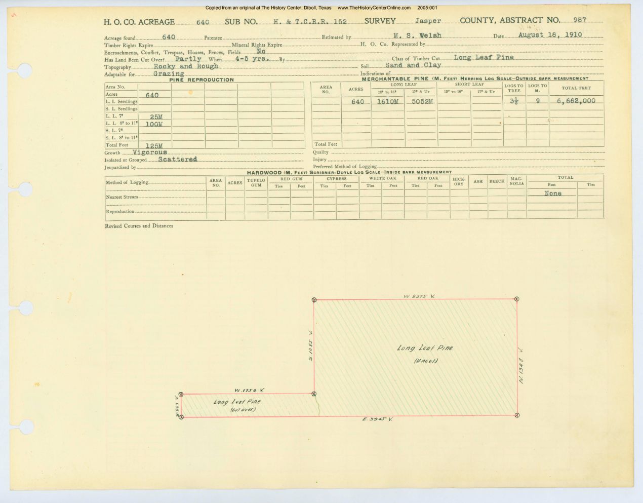 0425 Abstract 987, H&amp;T.C.R.R. Survey, front and back, Jasper County