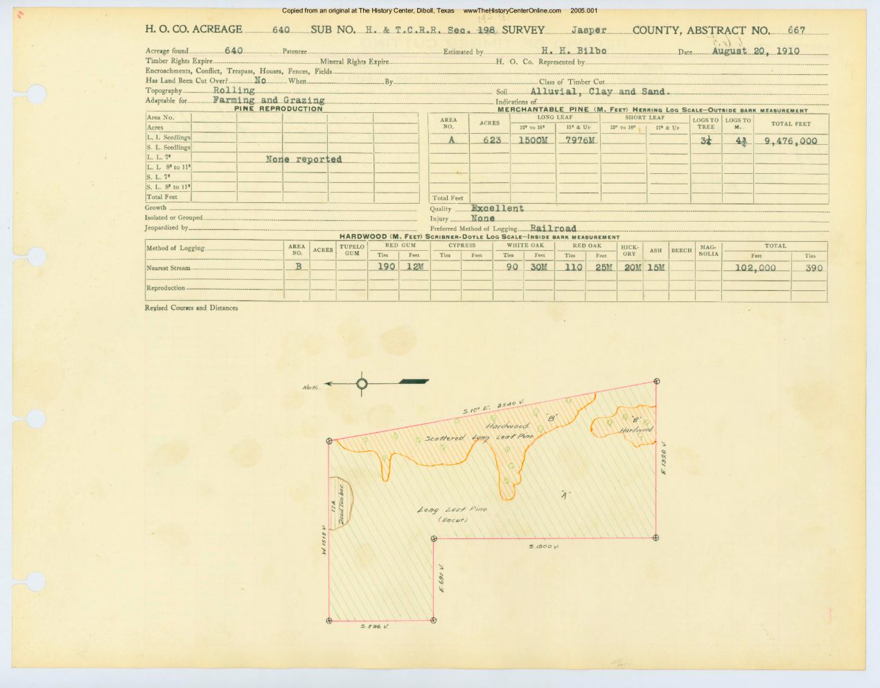 0343 Abstract 667, H&T.C.R.R. Survey, front and back, Jasper County