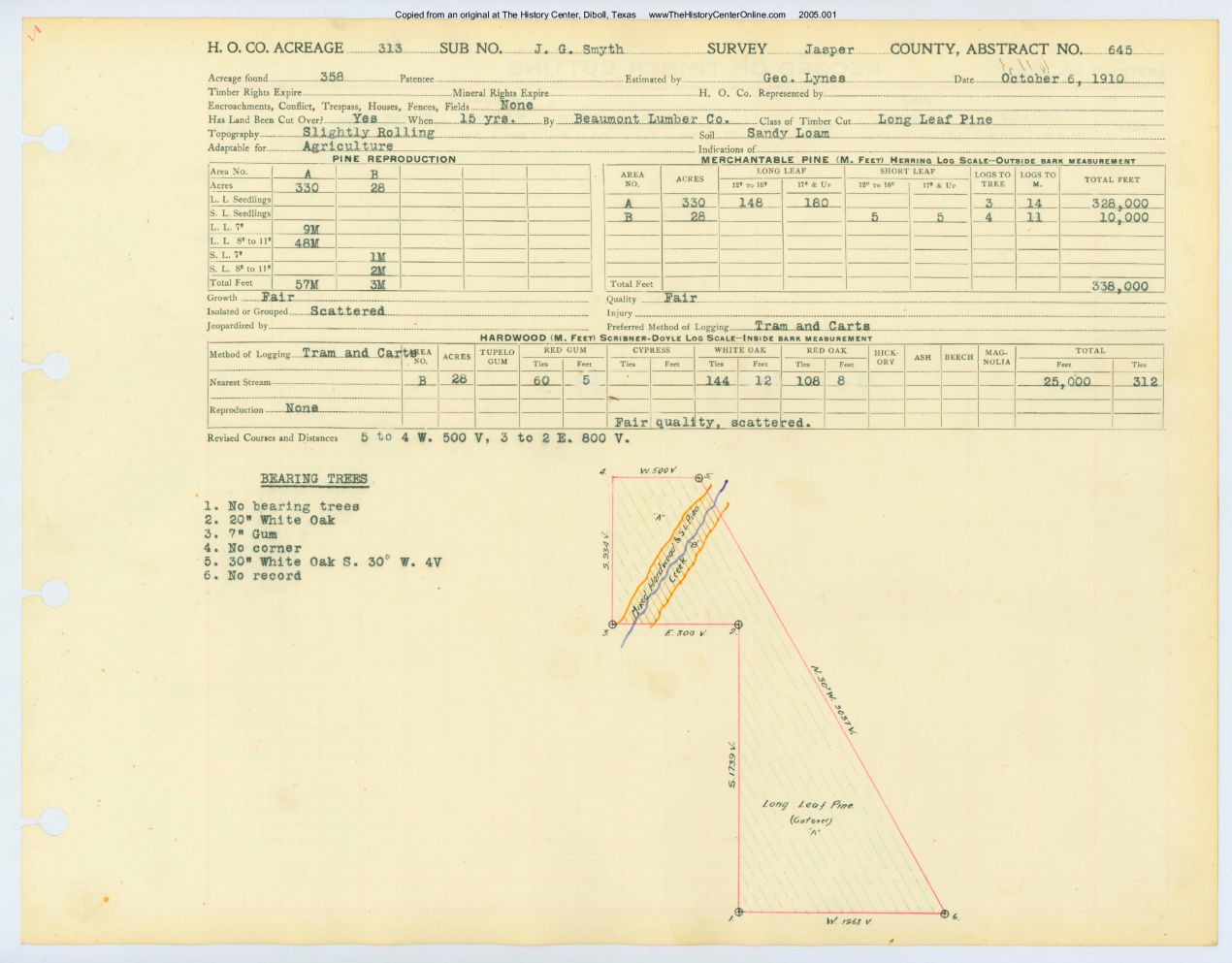 0335 Abstract 645, Smyth Survey, Jasper County