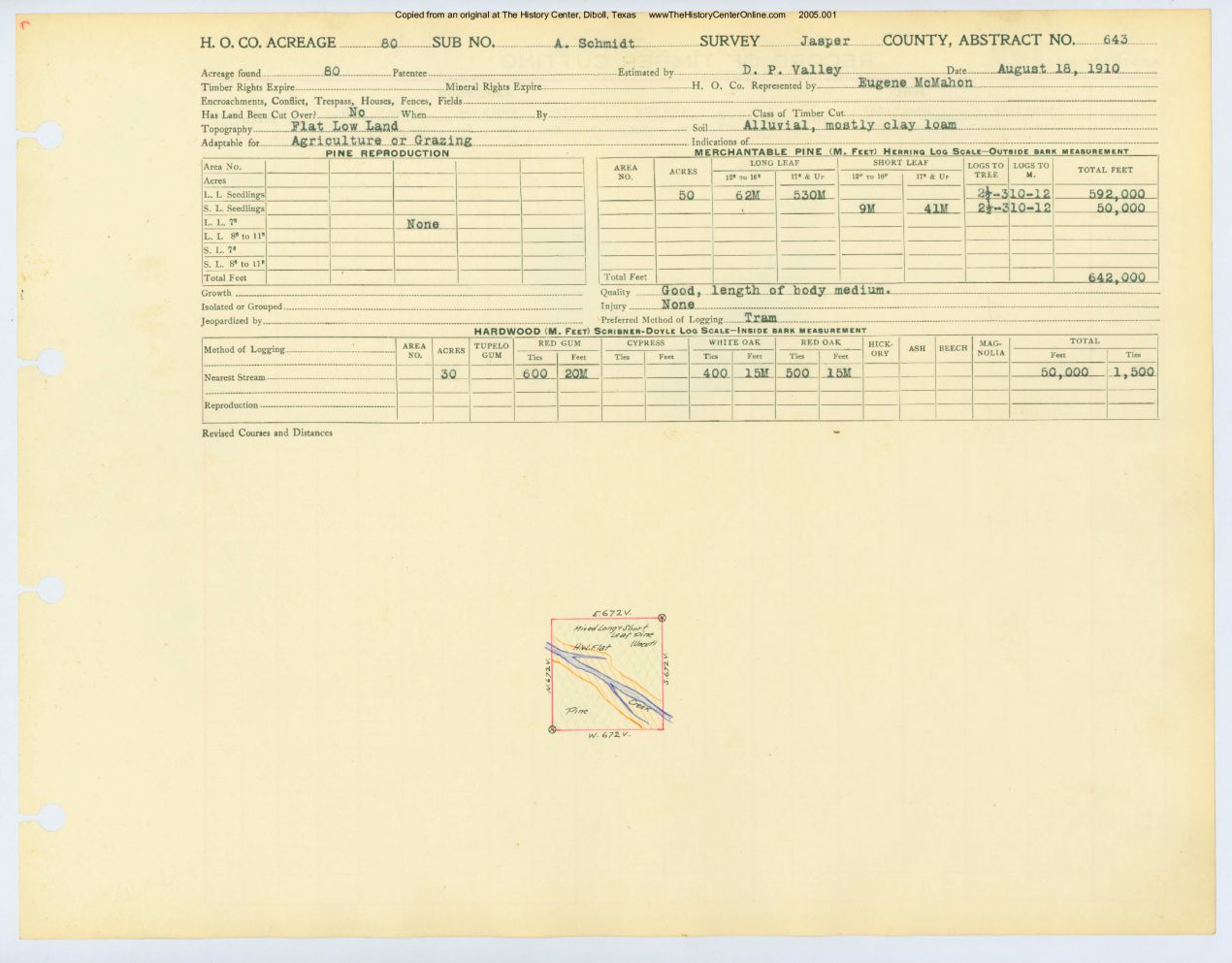 0334 Abstract 643, Schmidt Survey, Jasper County