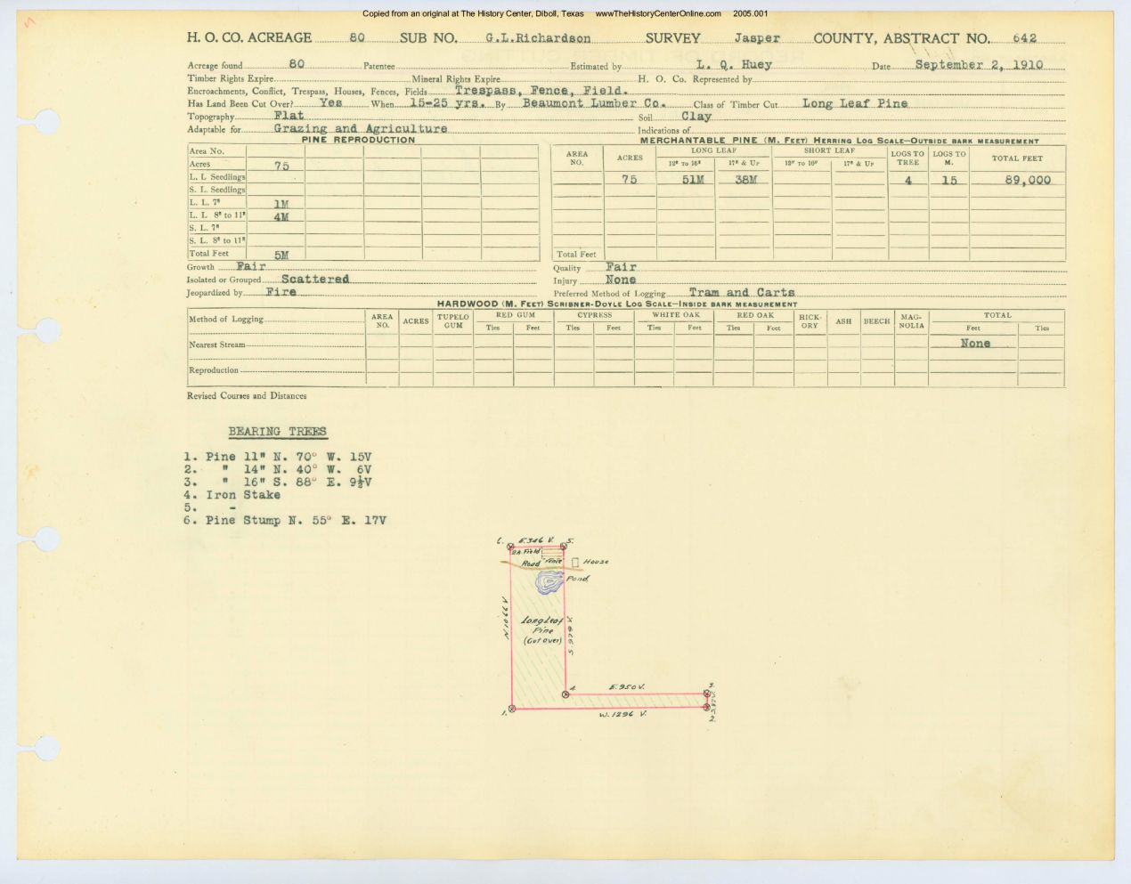 0333 Abstract 642, Richardson Survey, front and back, Jasper County