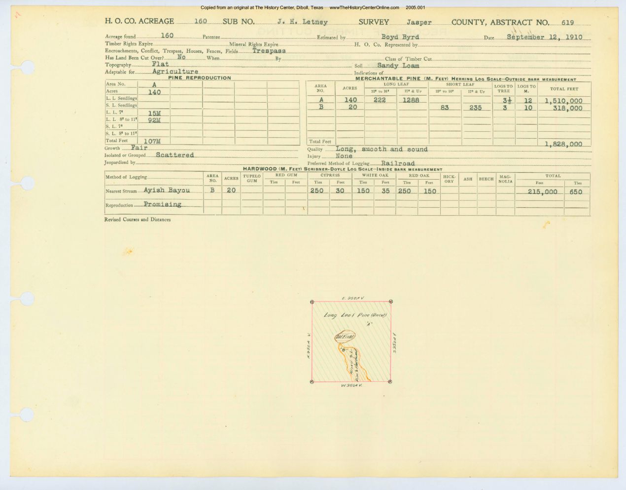 0326 Abstract 619, Letney Survey, Jasper County
