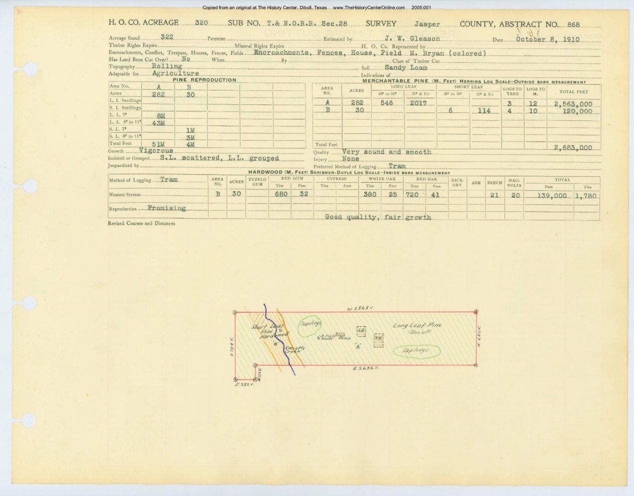 0377 Abstract 868, T&N.O.R.R. Survey, front and back, Jasper County