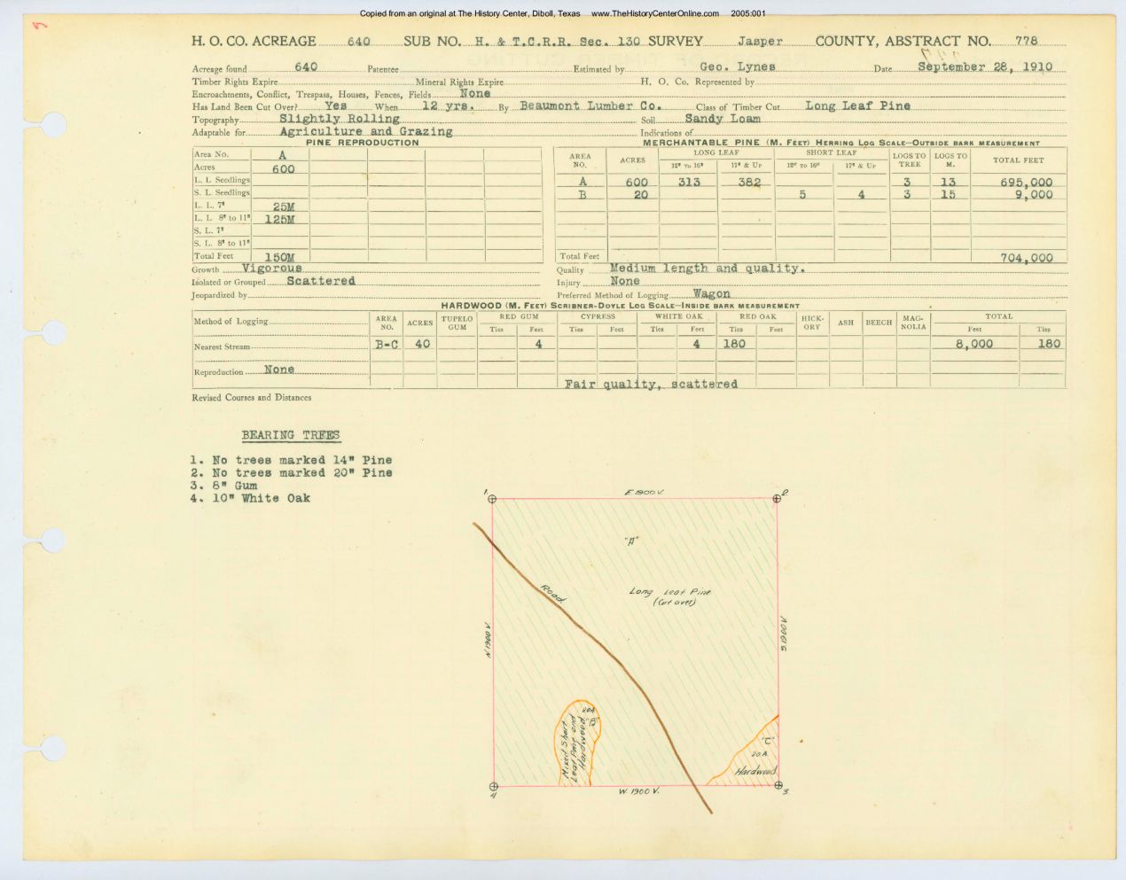 0369 Abstract 778, H&T.C.R.R. Survey, Jasper County