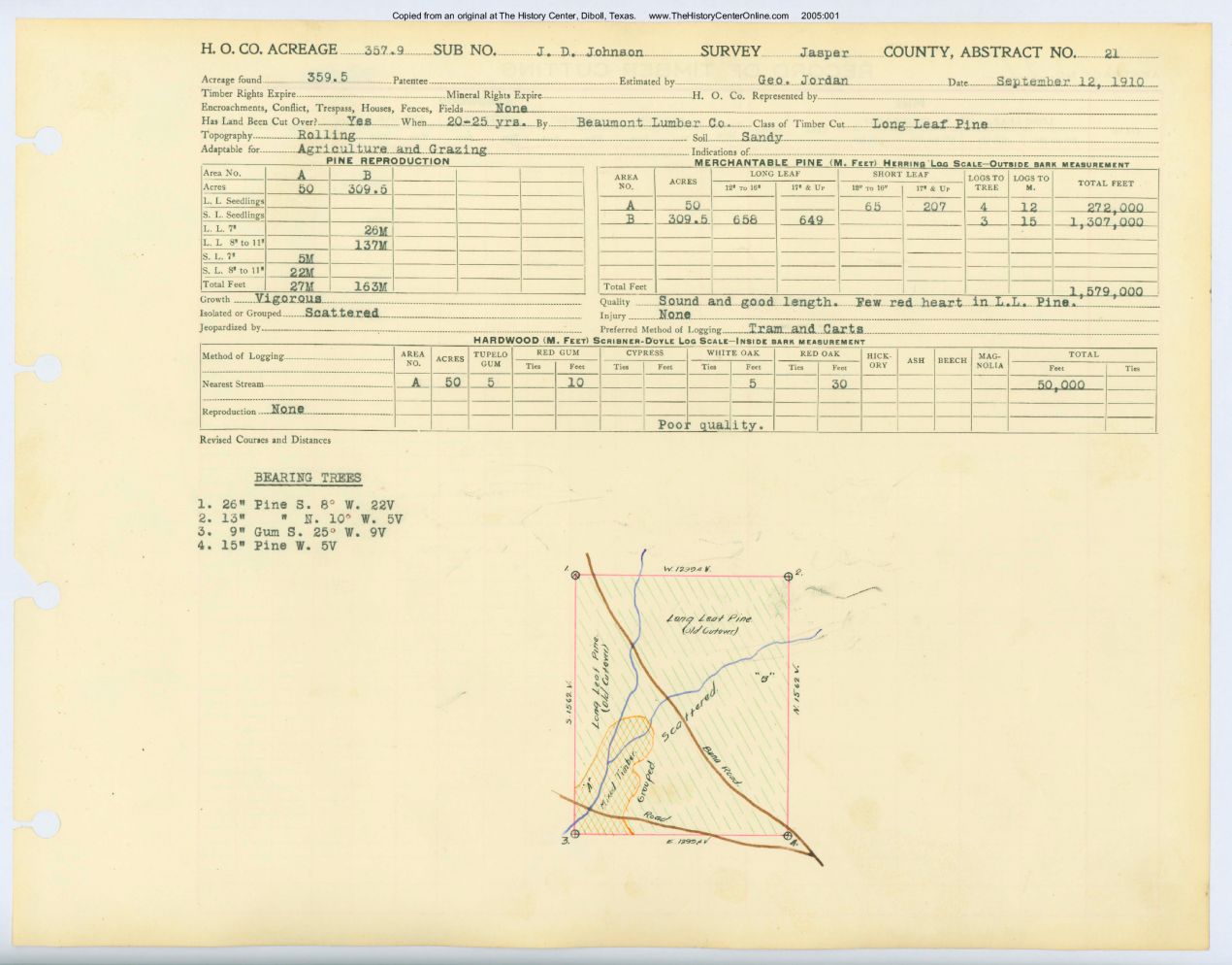 0018 Abstract 21, Johnson Survey, 357 acres, Jasper County