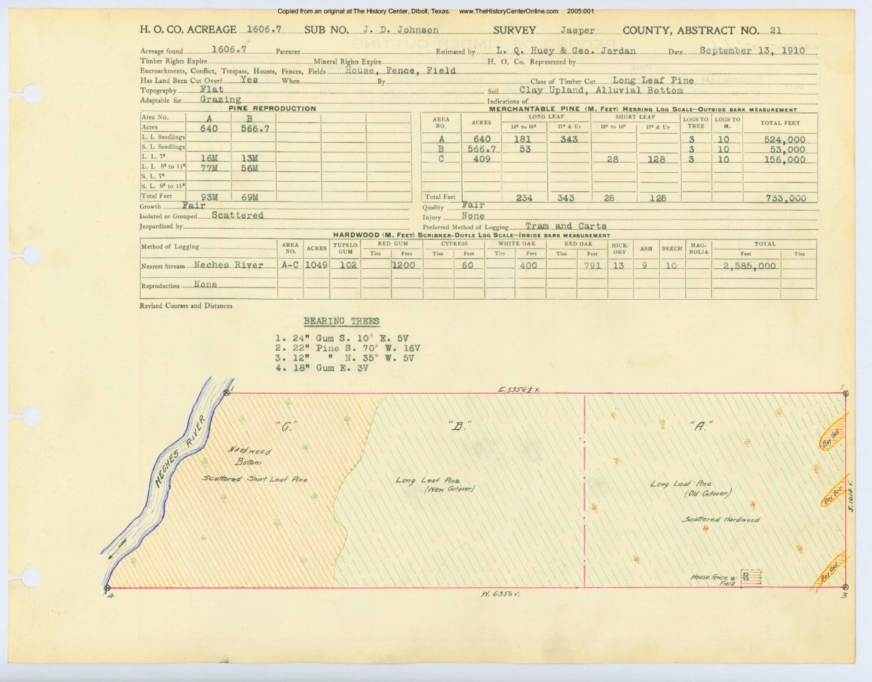 0021 Abstract 21, Johnson Survey, 1606 acres, Jasper County