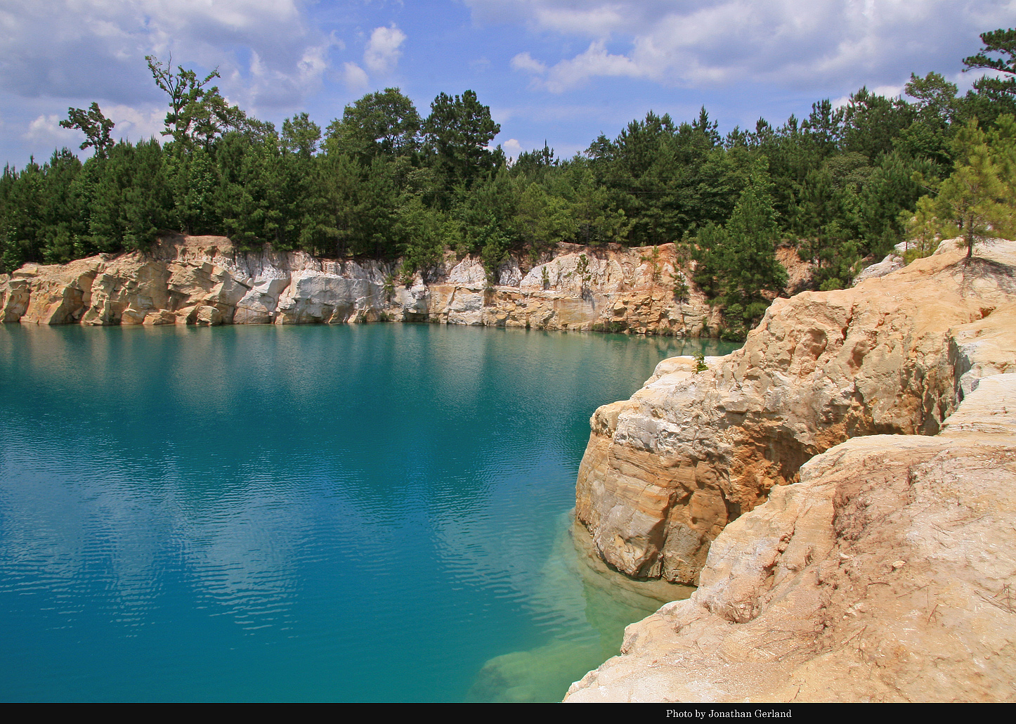 In Forest Land: Special Places in the East Texas Pineywoods | The ...