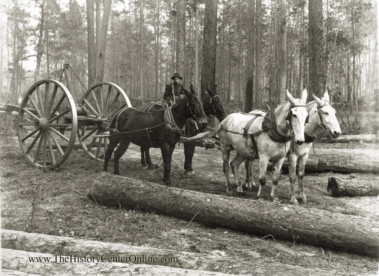 American Lumberman Photograph Exhibit