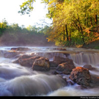 In Forest Land: Special Places in the East Texas Pineywoods