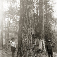 American Lumberman Photograph Exhibit