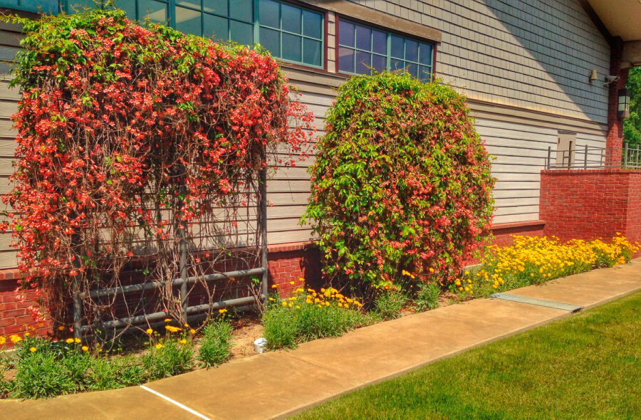  Spring 2014 Gardens of Color