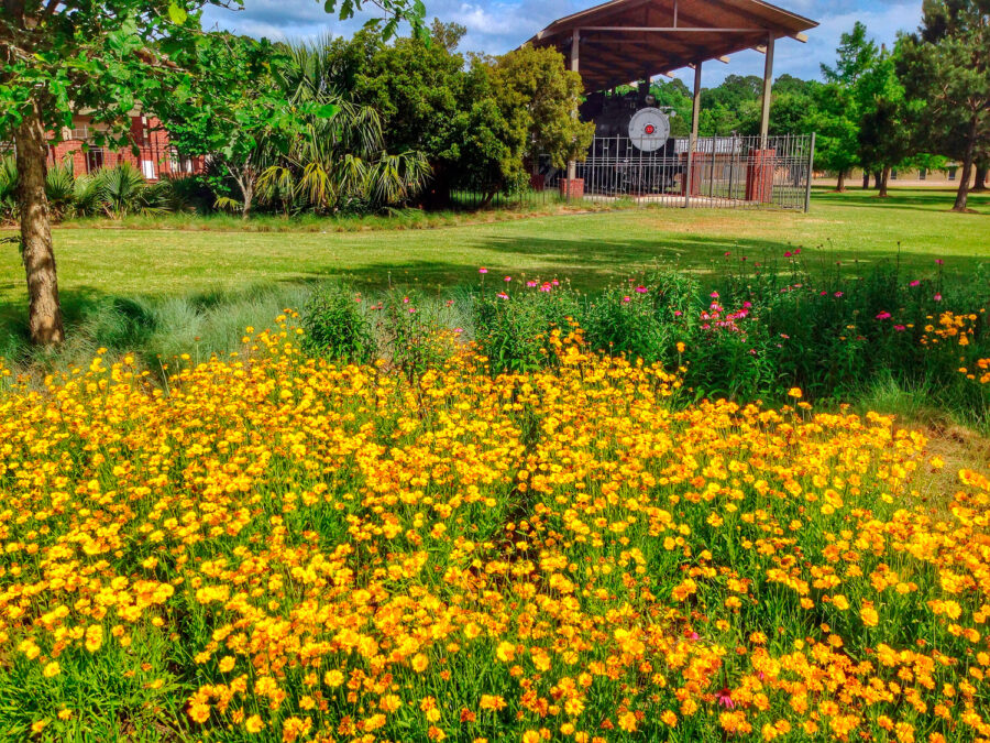  Spring 2014 Gardens of Color