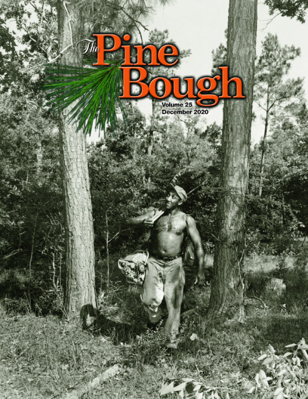  2020 Pine Bough Online