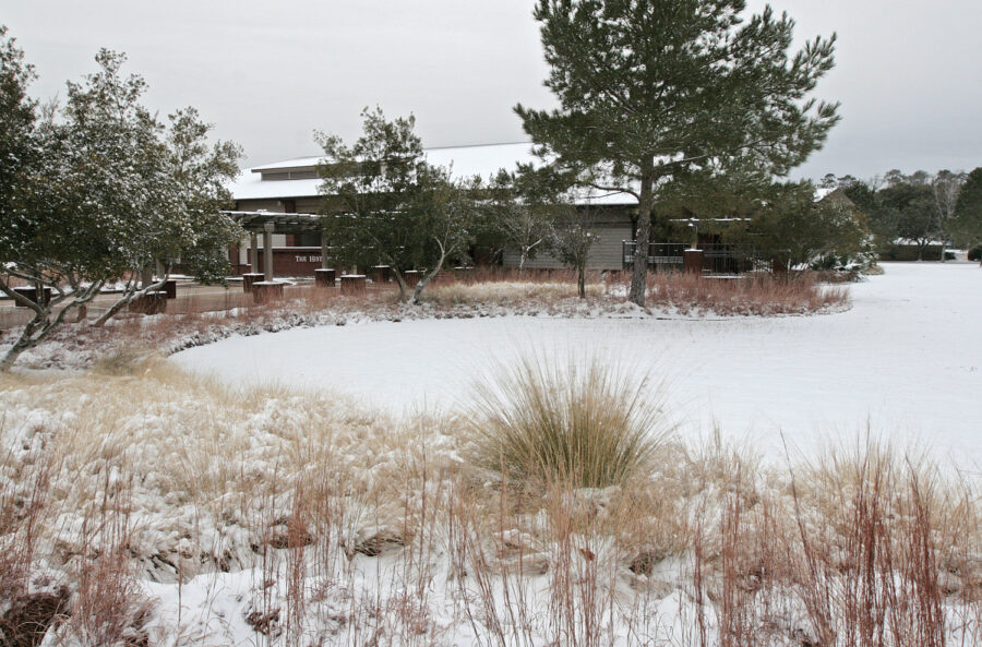  Snow at The History Center January 24, 2014