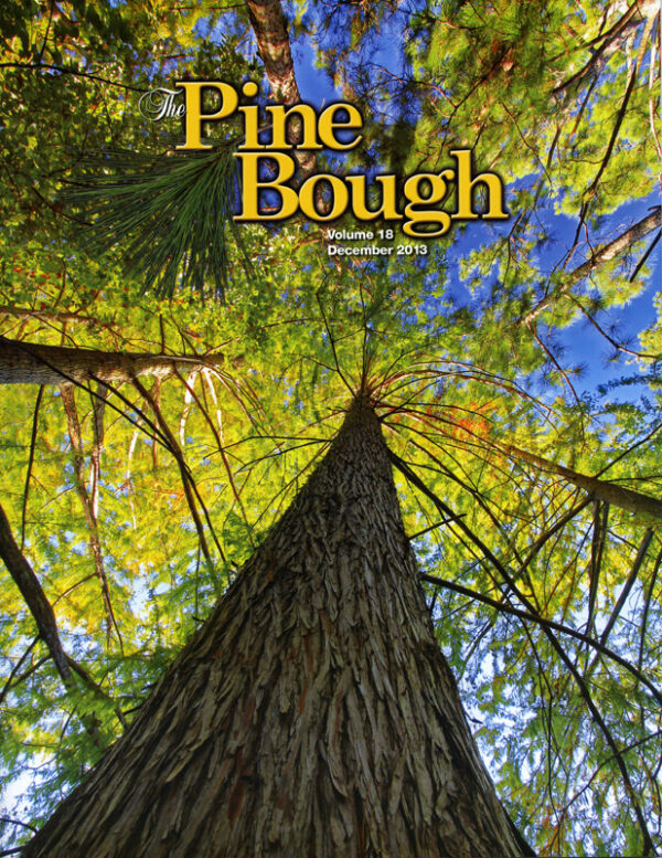 December 2013 cover